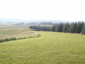 11_9_08 011