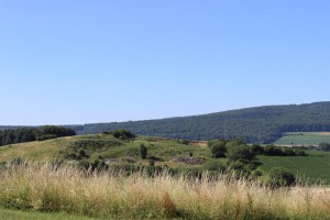 IMG_2545